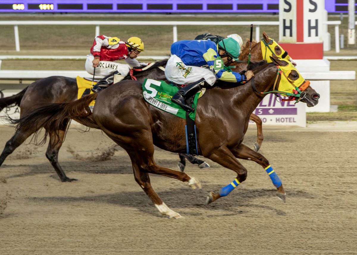 EVD Racing tweet media