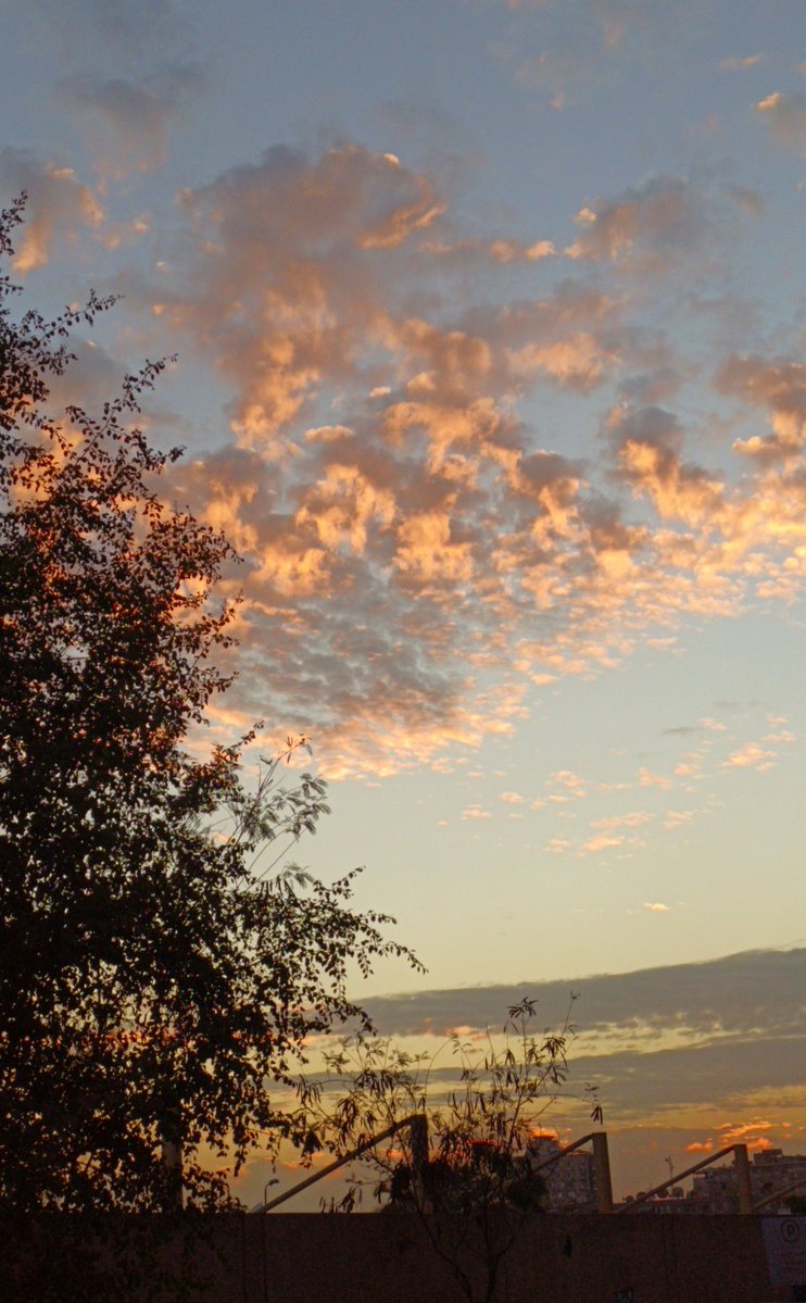 سبحان الله.
Saving Special Moments.
#NatureBeauty
#Photography