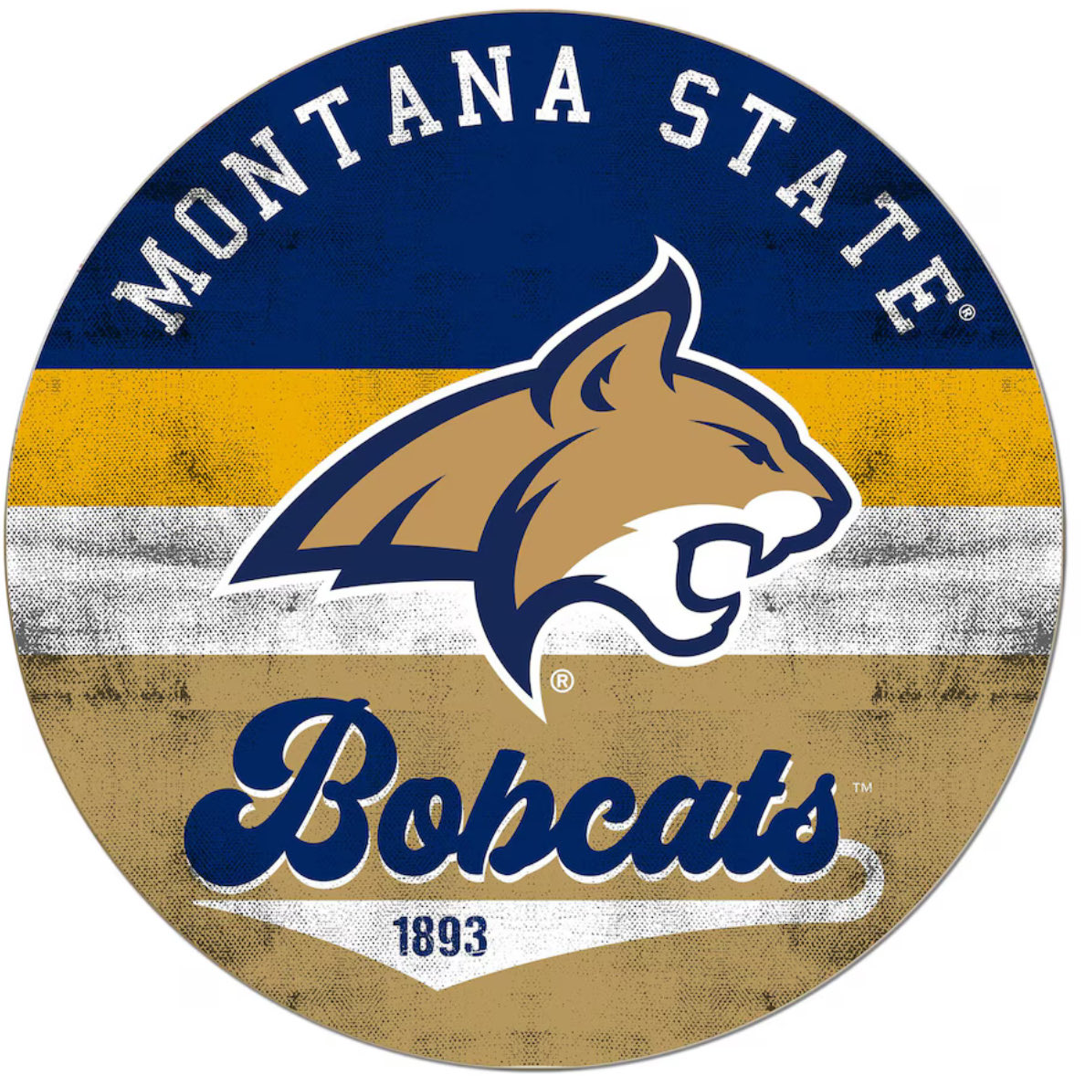 PerryBronson's tweet image. Go Cats Go!!