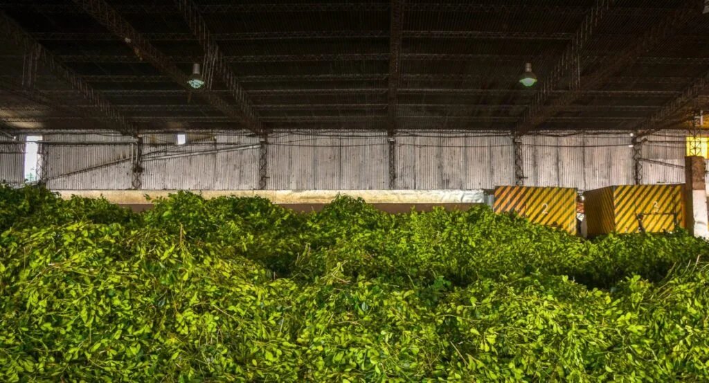 #ElAnalisis El costo de la mala praxis | Escribe <a href="/JuanCArguello/">Juan Carlos Argüello</a>  economis.com.ar/el-costo-de-la…