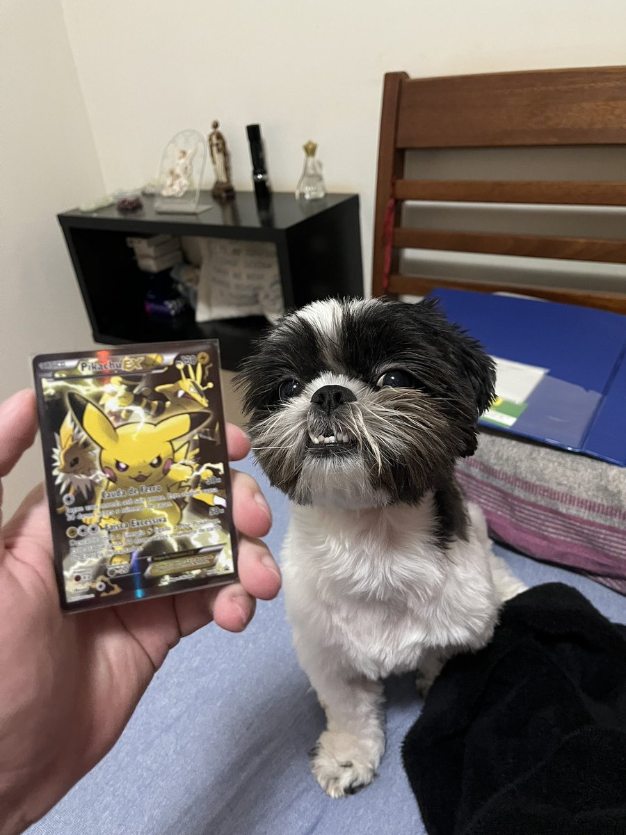 Peedrinvsf's tweet photo. Descobri que tenho uma carta de pokemon que vale entre 1100-1300 reais (foto da carta e da pepita para fins de comparação) https://t.co/DuEx4x9etx