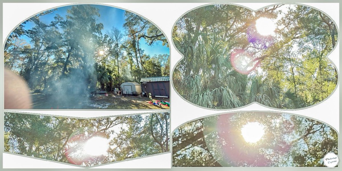 GoConchs's tweet image. Made with photoshopexpress.app.link/lQSNrJ9t5Kb