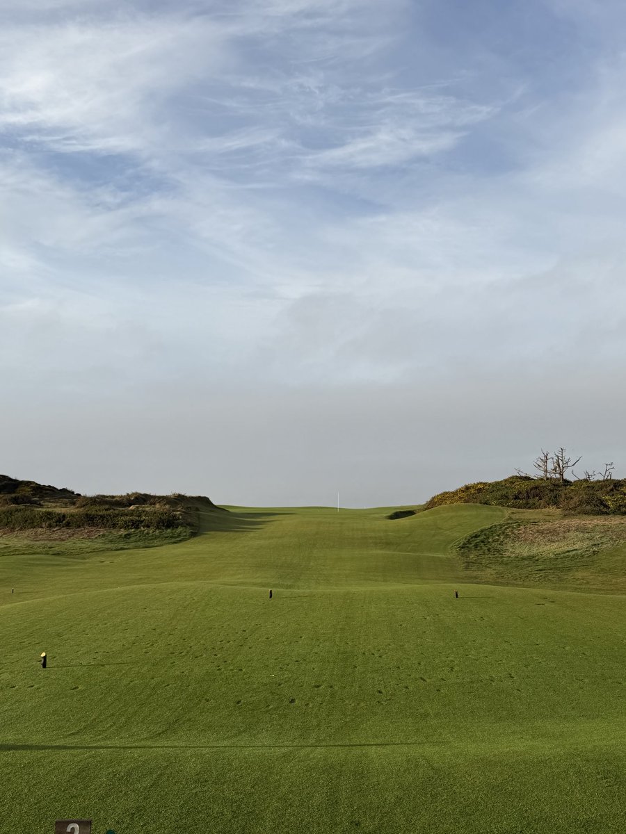 Ian Harmon tweet media