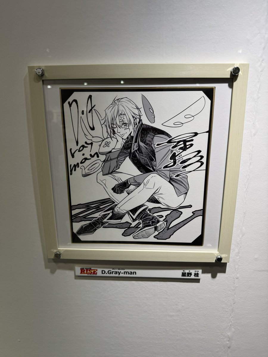 ジャンプフェスタ D. Gray-man