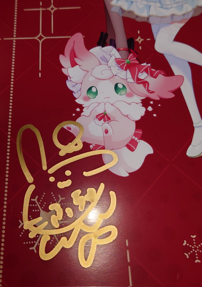 最後に貰ったポスターのチェック。5期生全員分入ってます。そして私