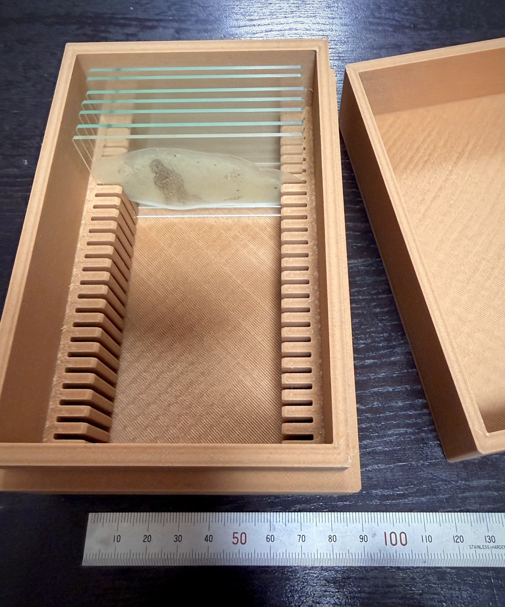 大型薄片用の収納箱でけた。今回は松浪硝子の76x52mmのスライドガラス