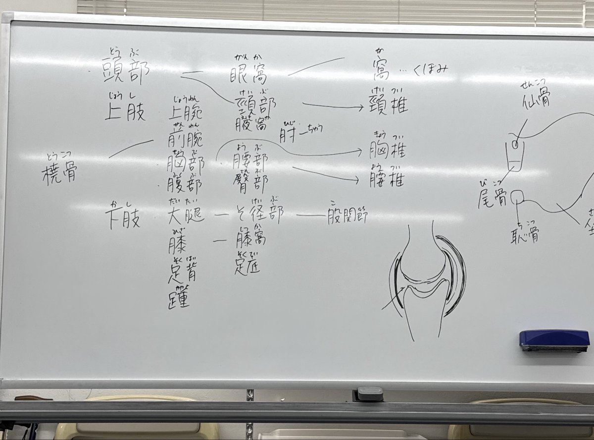 まめこんぶ🕊️ tweet media