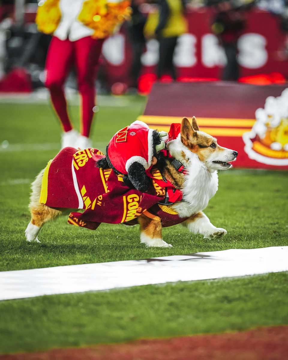 Northwest Stadium tweet media