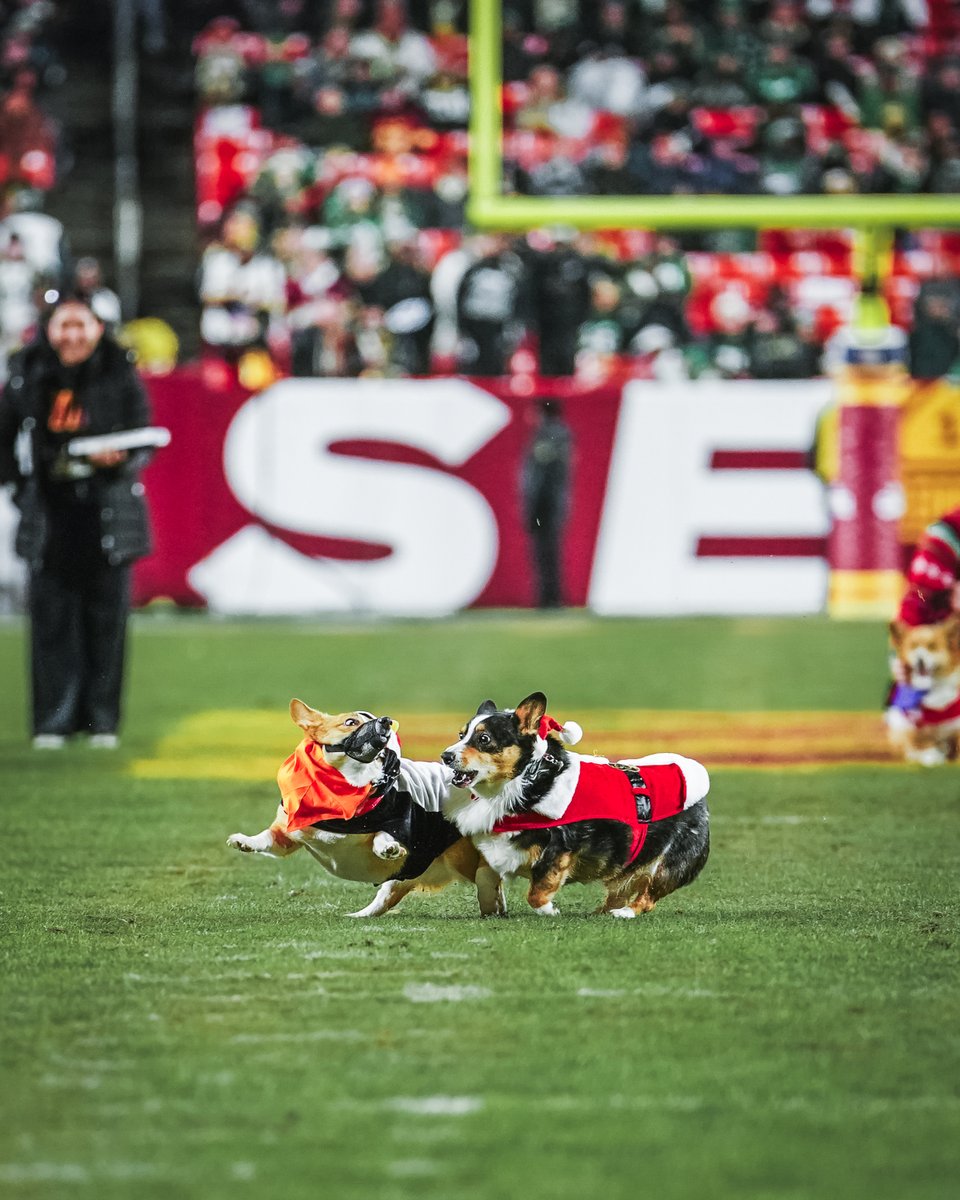 Northwest Stadium tweet media