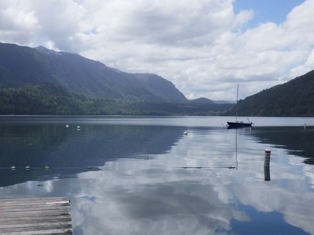 Invasive fish introduced at Cultus Lake pose serious threat to salmon, say B.C. conservation officers theprovince.com/news/invasive-…
