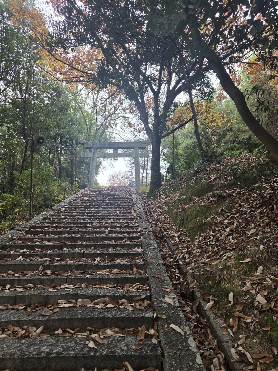 バリバリ2日酔い×神社清掃
