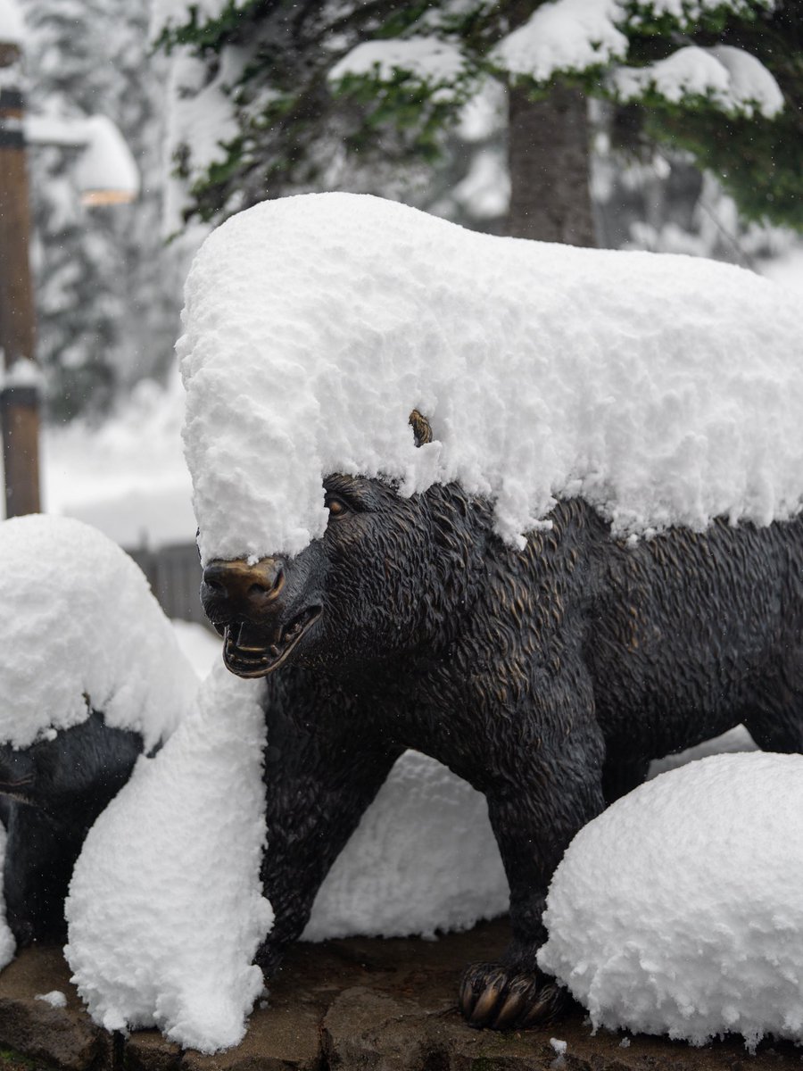 Summit at Snoqualmie tweet media