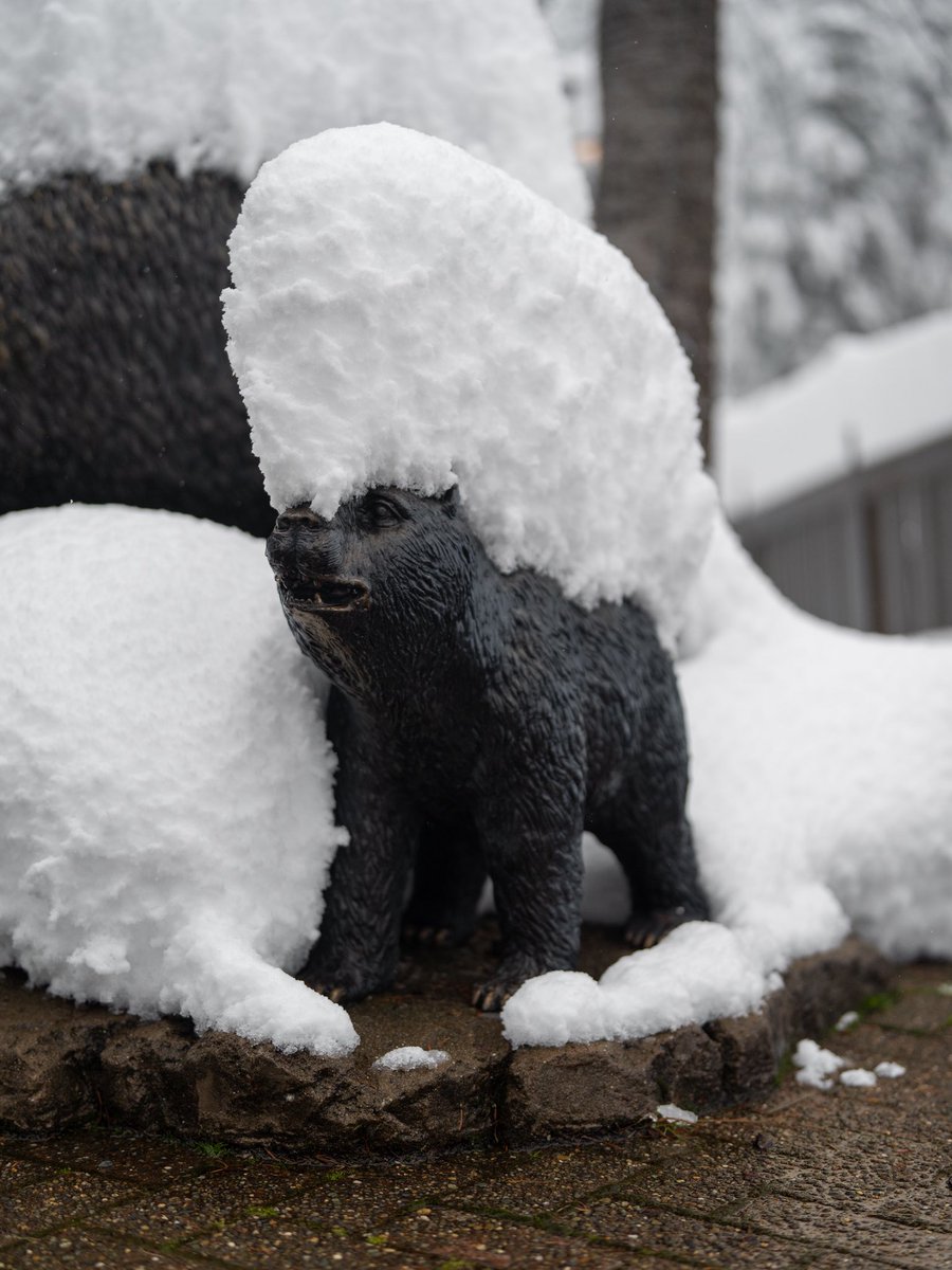 Summit at Snoqualmie tweet media