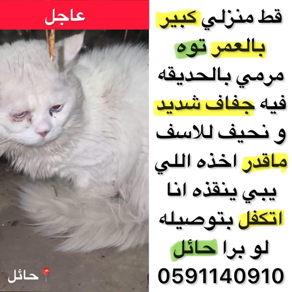 Hope 🌸 (@hemangh1) on Twitter photo 