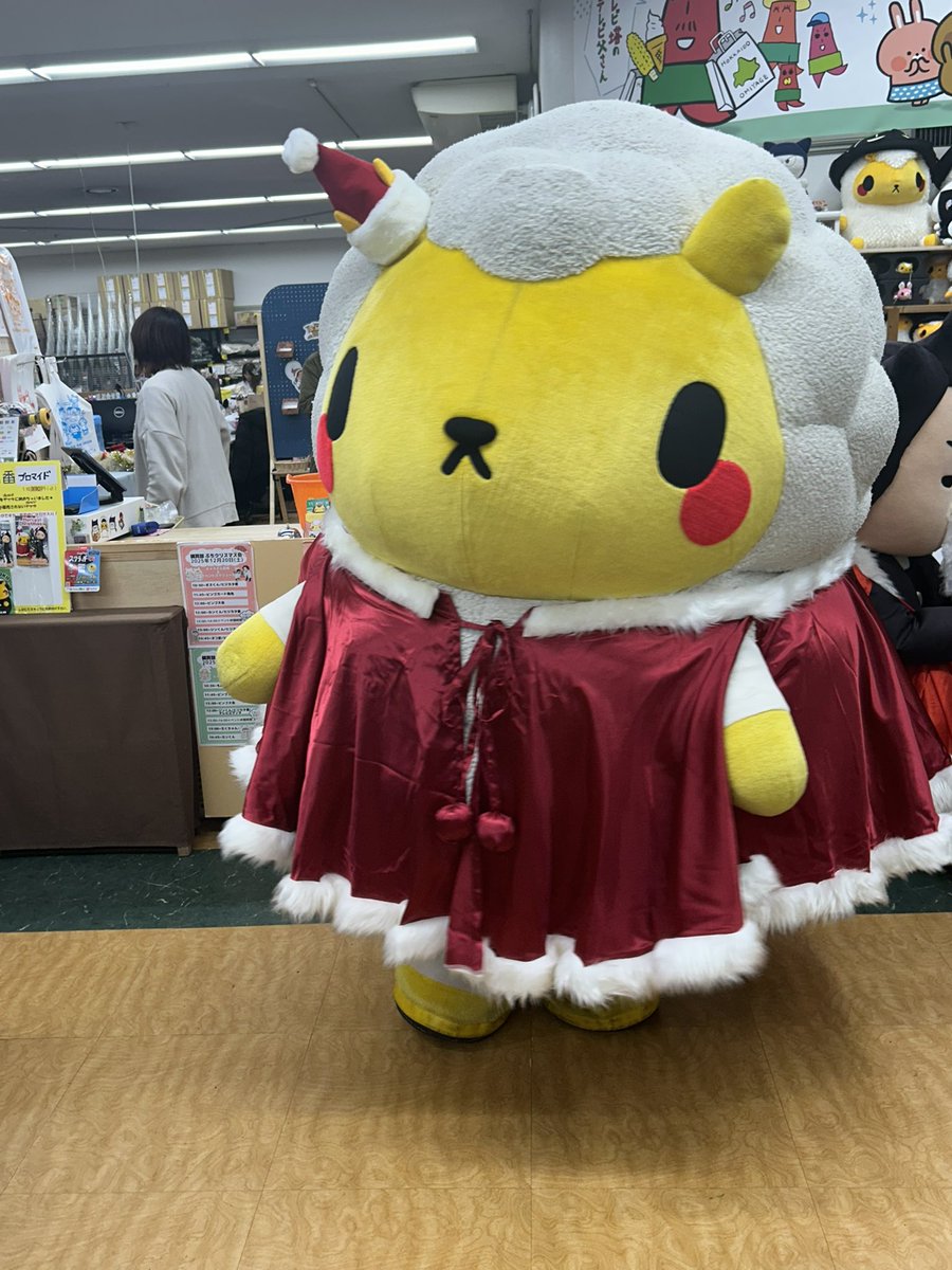 ジンくん登場 クリスマス衣装を着たジンくん、可愛い☺️ 撮影日12月20