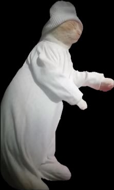 Instagram0User's tweet image. النومة الي تجي ليلة الفاينل بعد م تستسلم وتبيع القضية