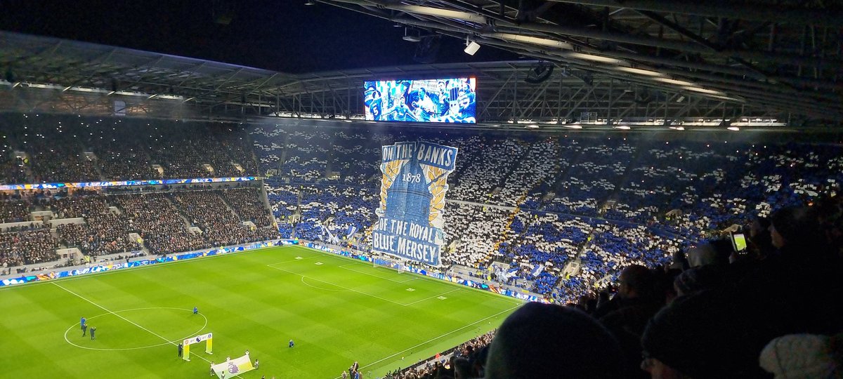 EvertonBanners's tweet photo. Boss this #Everton #UTFT https://t.co/mJ01Qgc3jz