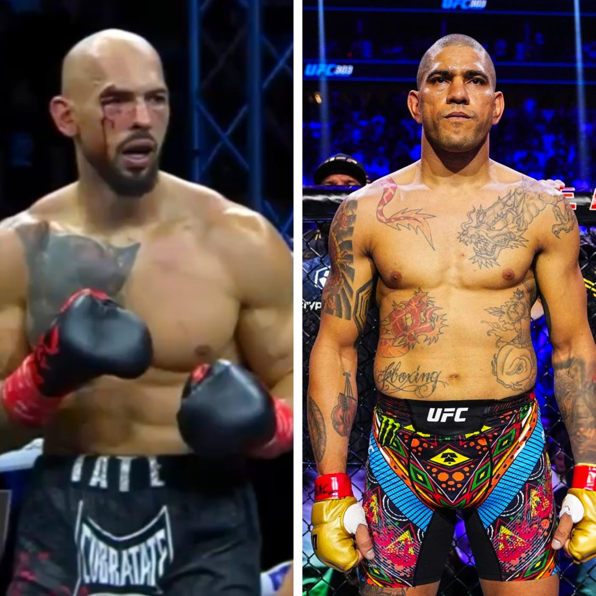 SmeshTalk's tweet image. This guy talked about fighting Alex Pereira and lost to an amateur. Glad that fight never happened, because we would’ve witnessed a first-degree murder. 😭