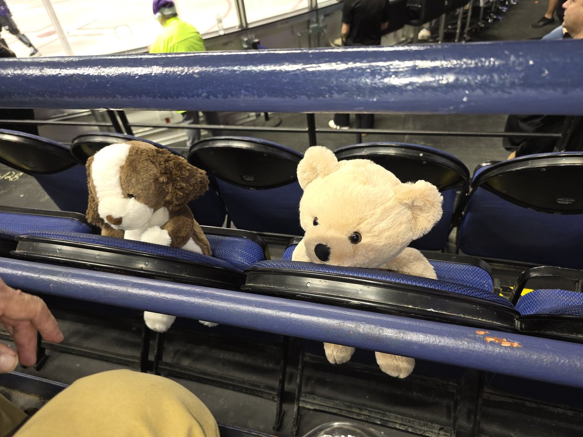 lizzer0125's tweet photo. Locked and loaded for the teddy bear toss. #GreensboroGargoyles #TeddyBEARtoss https://t.co/JWm5LX5tp6