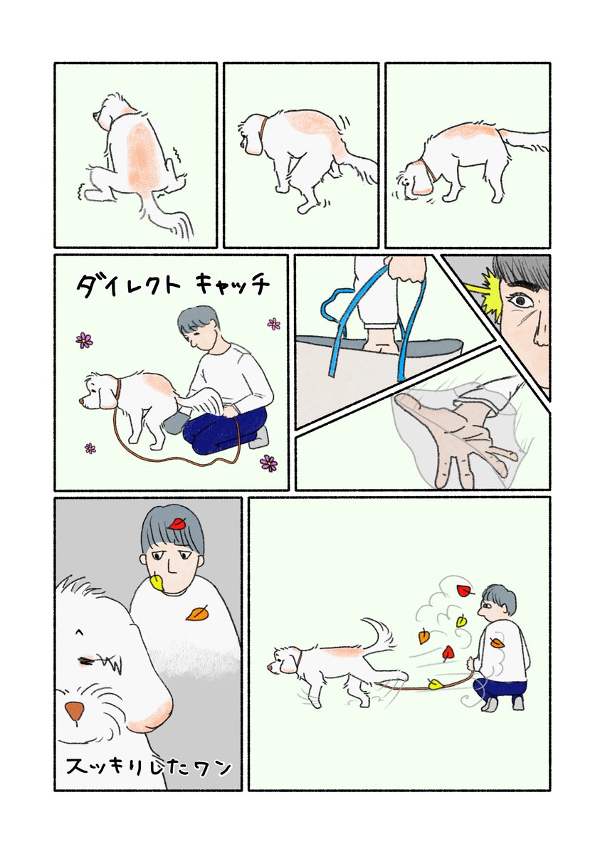 uruba_doodle's tweet photo. 「砂かけ」

犬がうんちの後に後ろ足で地面を蹴り上げるのは、マーキング（縄張りの主張）の一種で、排泄物の匂いと肉球から出る分泌物の匂いを混ぜて拡散させ、自分の存在をアピールする本能的な行動

#犬漫画 #漫画が読めるハッシュタグ https://t.co/e3nZ7I3oCN