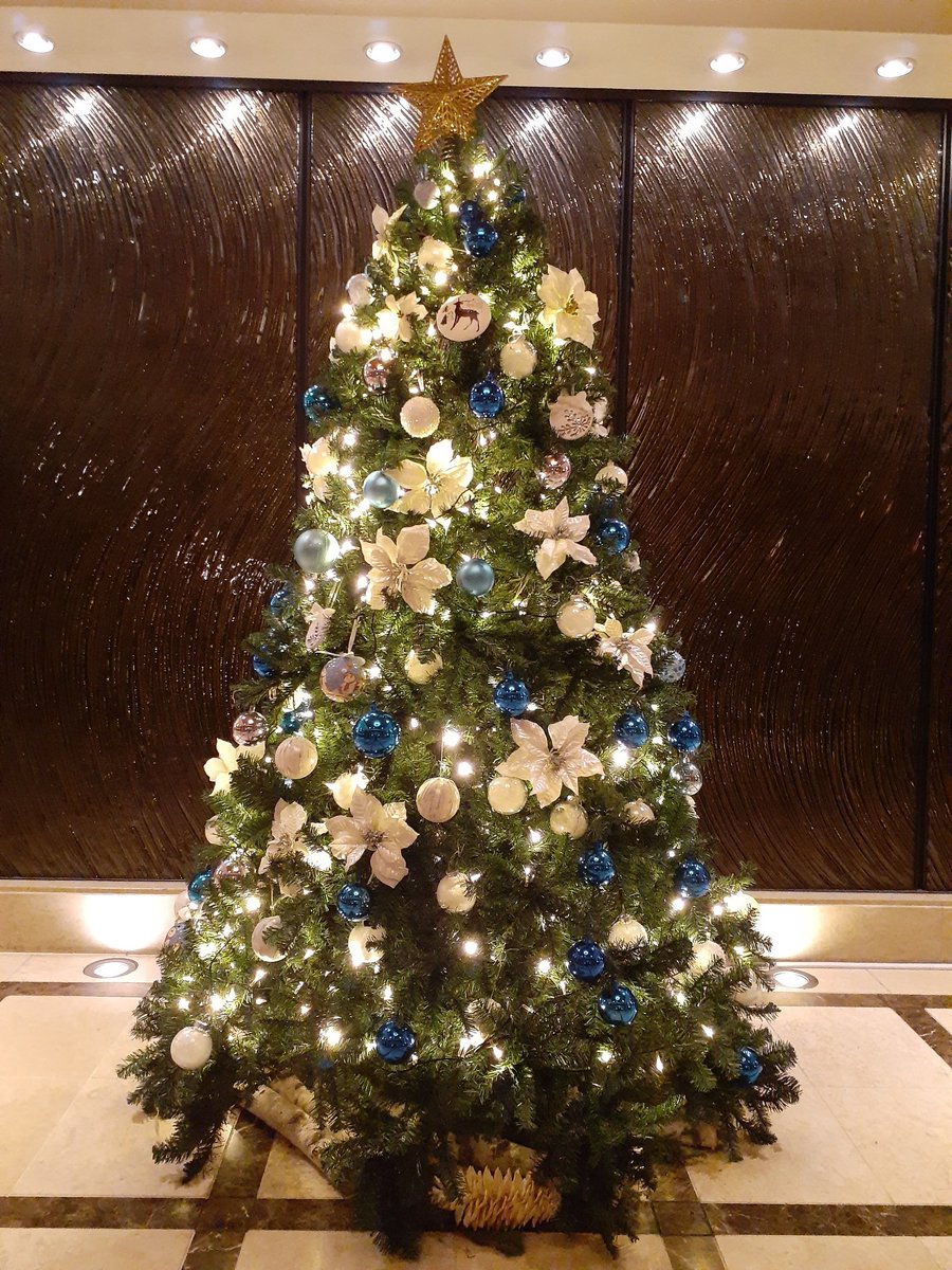 hiro_bluesea's tweet photo. 昨夜の平井堅さまKen'sBar@大阪城ホール　一曲一曲に向き合えて、お芝居を観たような充実感でいっぱい💓そして何より笑った顔に逢えてとっても幸せな気持ちになったのよ～☺️素敵なクリプレ🎄ありがとう🎶
#平井堅
#kensBar
#大阪城ホール https://t.co/SJuCJkeSI6
