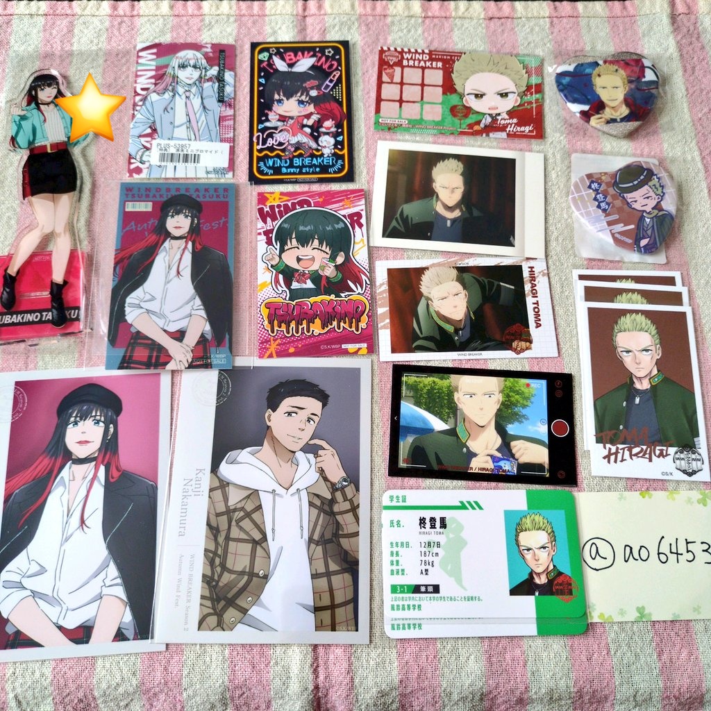 ウインドブレイカー　まとめ売り 譲渡/交換/買取】WIND BREAKER ウィンブレ ウィンドブレーカー 譲