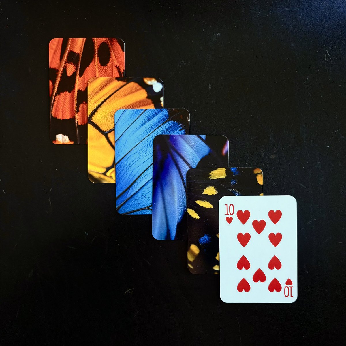 designed a set of playing cards for my team, each with a unique butterfly wing 🃏🦋