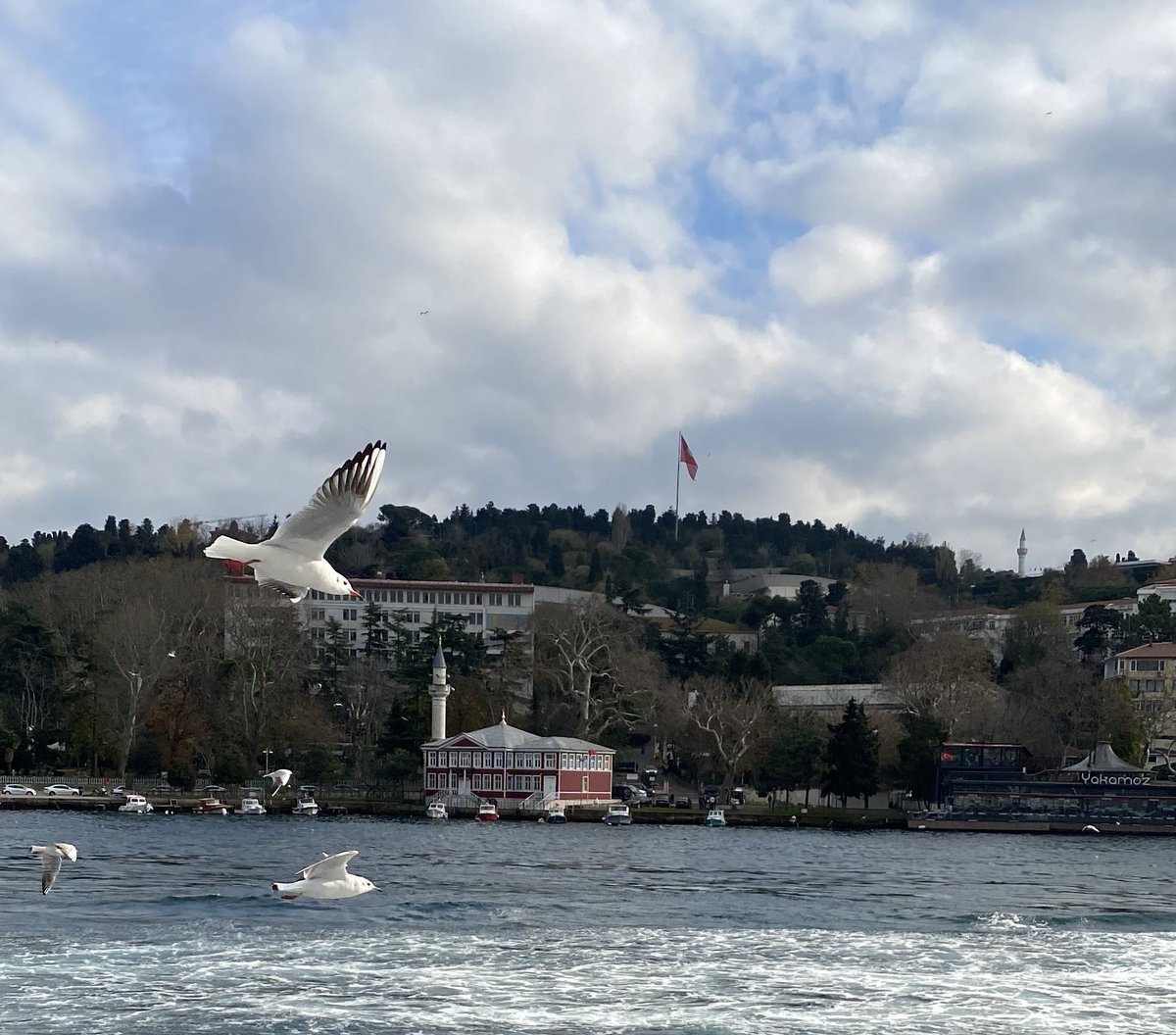 hyun bin (@mustafa069106z) on Twitter photo 