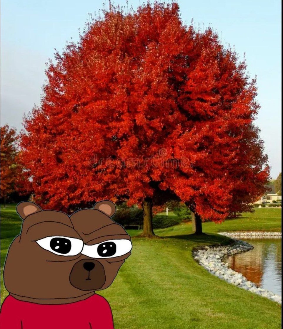 BOBO or 0x24031b61dca08e4e0a128b760d894c246e974444)