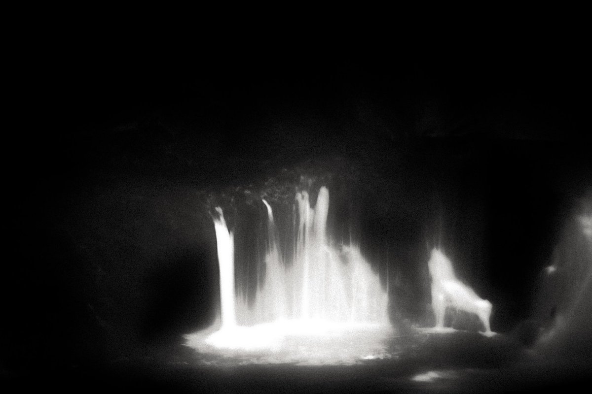 ᴺ🐽ᴳ (@FakerPoke) / Posts / X