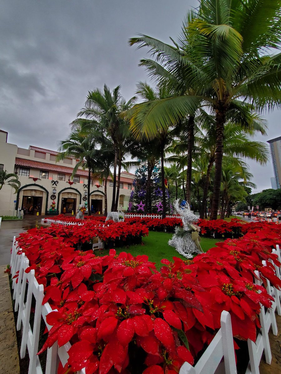 やっぱりハワイページ やっぱりハワイ！ | ウェルカムキャンペーン