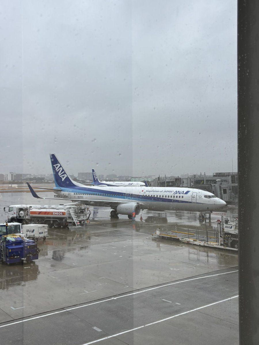 めっちゃ☔️やん！！！ 新宿晴れててよ〜☀️ 本日、 推しと推しが 観