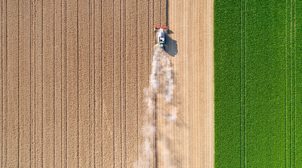 FEEDING AMERICA STARTS AT HOME 
Behind every meal is an American farmer — working before sunrise, through storms, &amp; across generations.
Supporting local agriculture isn’t just economics, it’s food security, independence, &amp; respect for the people who keep this nation fed.
Strong