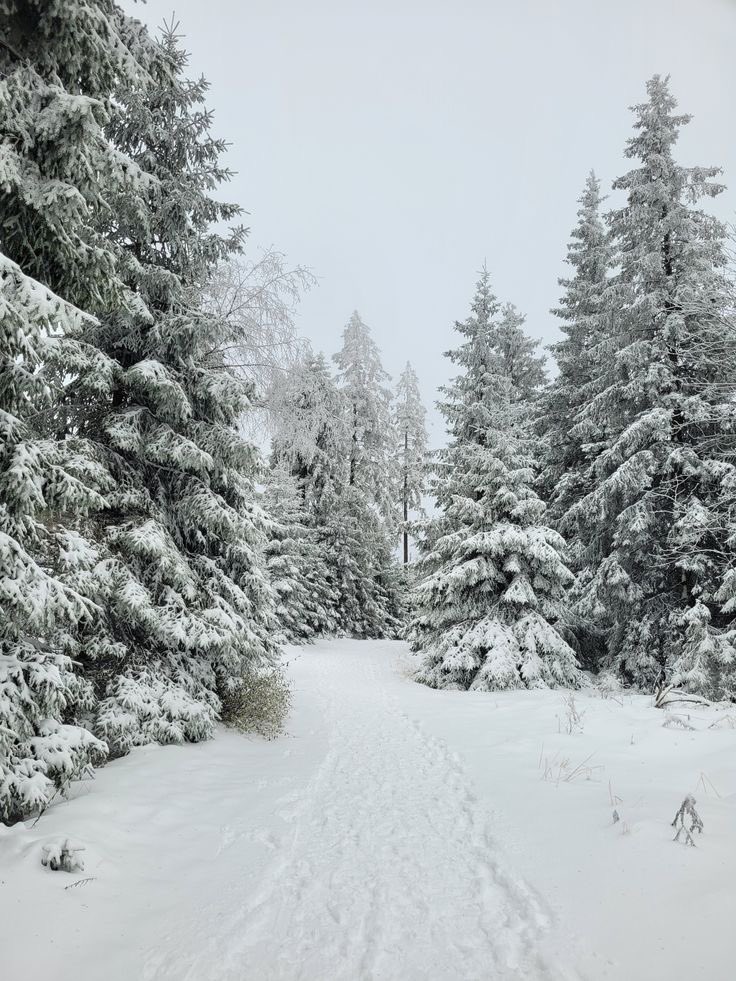 agonyembracee's tweet image. Depois da vitória das luluzinhas