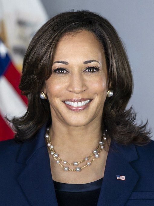 optisues's tweet image. Merry Christmas to everyone that voted for Vice President Kamala Harris.