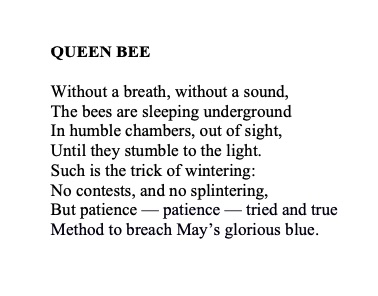 ellin_anderson's tweet image. #vss365 #prompt #humble #bee #bees #poem #poetry #poets #PoetryX #PoetryTwitter #PoetryLovers #PoetryCommunity #winter #hibernation #WinterSolstice