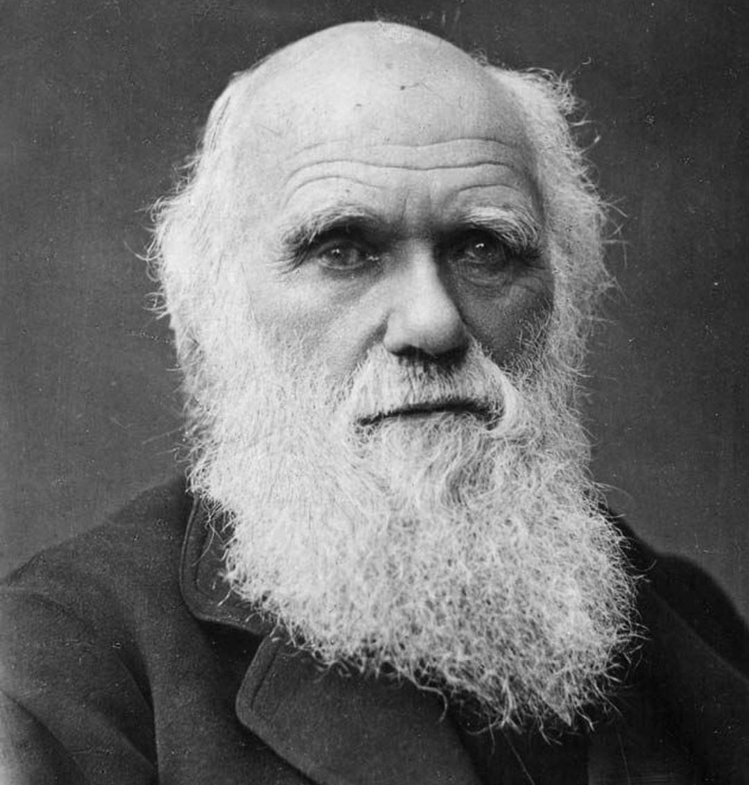 statsglobe's tweet image. Scientists Inventions that Revolutionized the World:

🇩🇪 Albert Einstein - E = mc²  
🇬🇧 Charles Darwin - Theory of Evolution  
🇮🇹 Galileo Galilei - Telescope  
🇬🇷 Archimedes - Lever  
🇬🇧 Isaac Newton - Calculus 
🇮🇳 A.P.J. Abdul Kalam - Missile Technology  
🇬🇧/🇨🇦/🇺🇸 Alexander…