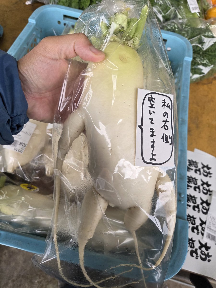 12/21(日)みなみの里に出荷しとります！
今日は沢山のお野菜達が出荷されとるので、おでん大根はまだバックヤードにあると思います！
見当たらない時はスタッフさんにお尋ね下さい✨

今日の、かわりだね大根は

#おちょぼ口大根の親子
#マッコウクジラ大根
#私の右側空いてますよ大根

の3本です！！