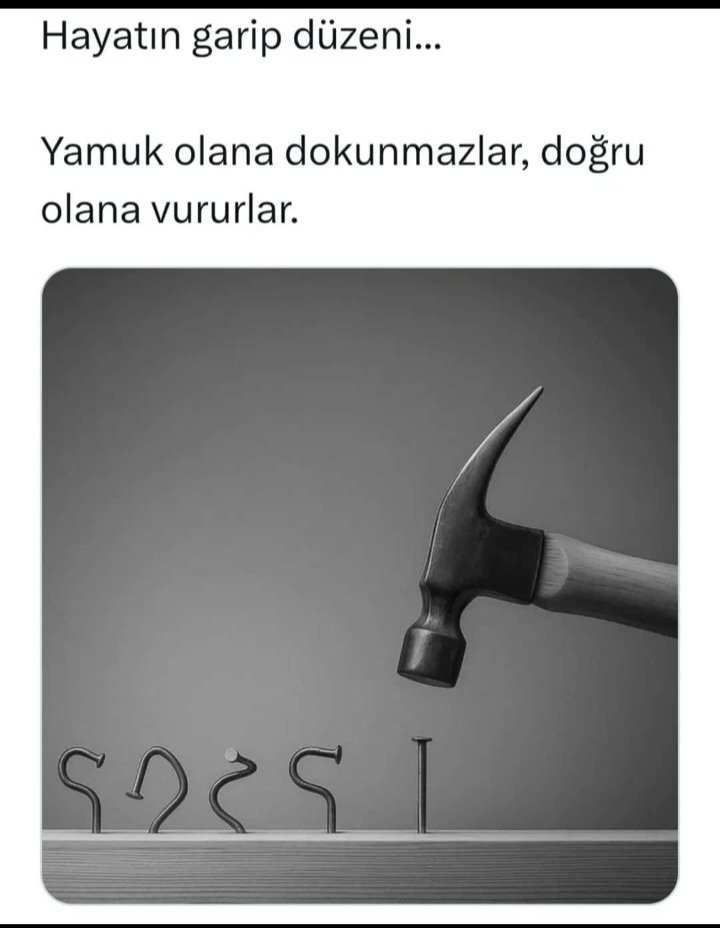 Mecit HAZIR tweet media