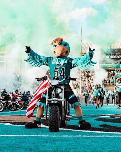 Brian quigley tweet media