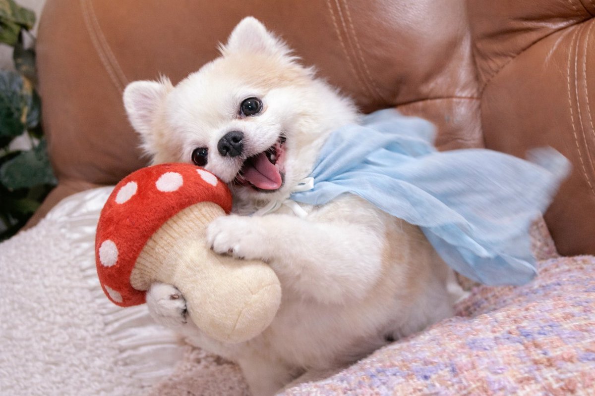 みんちゃん🤣🤣♡かわいい！！！