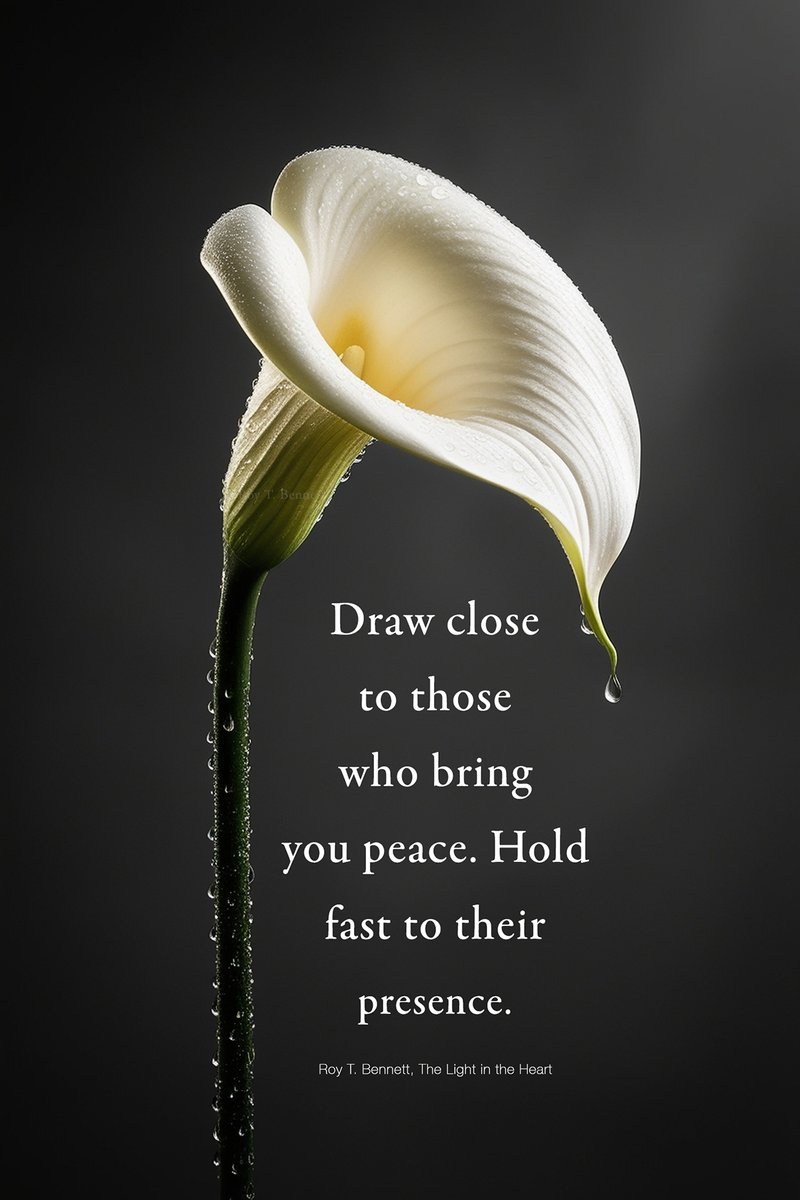 InspiringThinkn's tweet image. Draw close to those who bring you peace. Hold fast to their presence.
Roy T. Bennett, The Light in the Heart