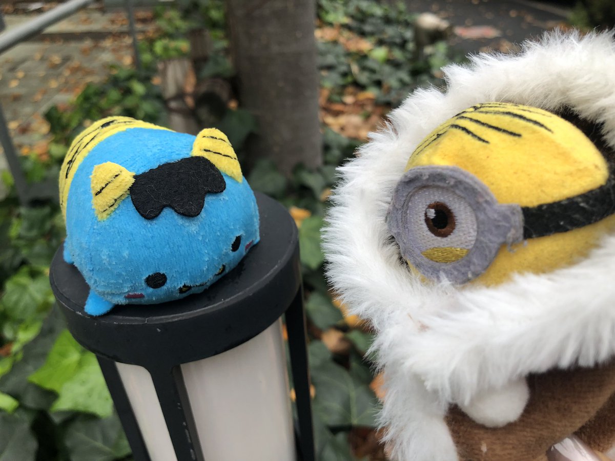 パピコ (@cQJWVewgLVa6O3q) / Posts / X