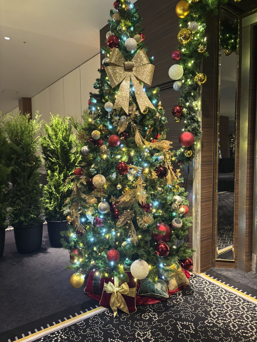 めっちゃクリスマス🎄