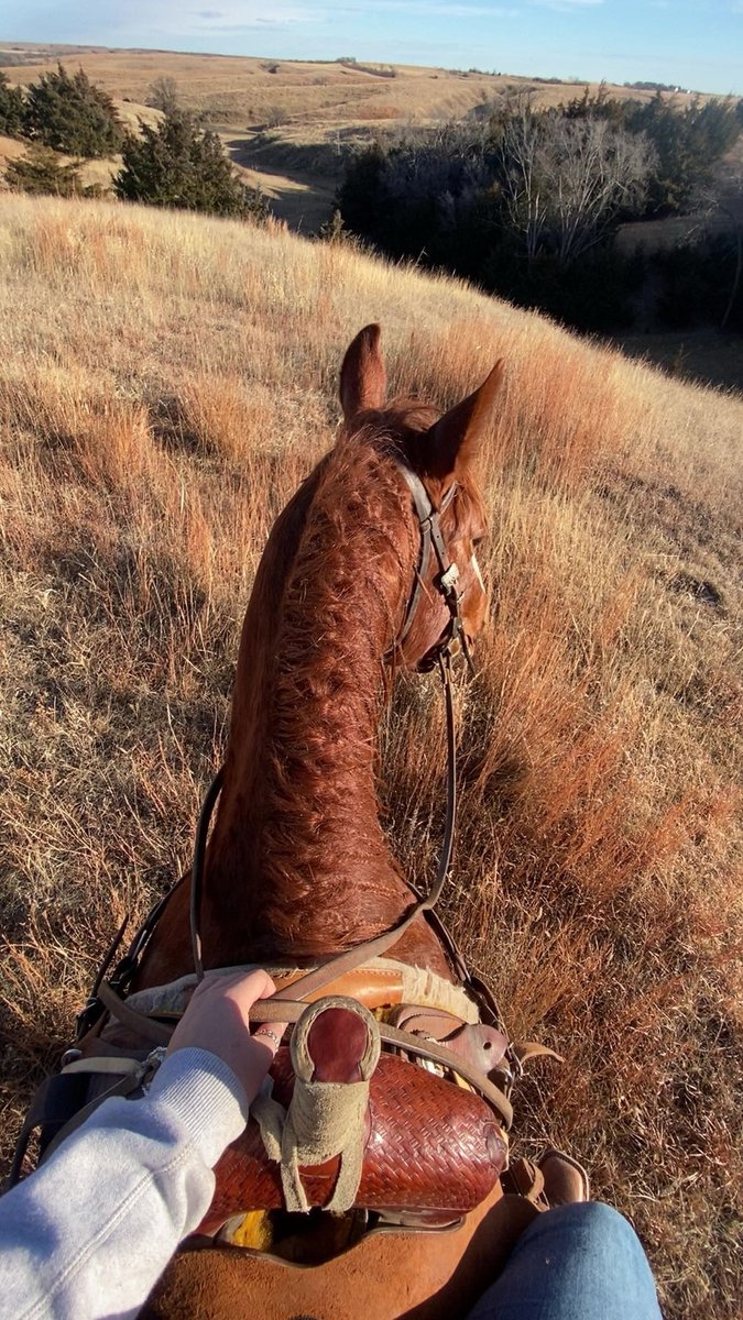 Waddy gets counted extra when I’m thanking God for His blessings 💛