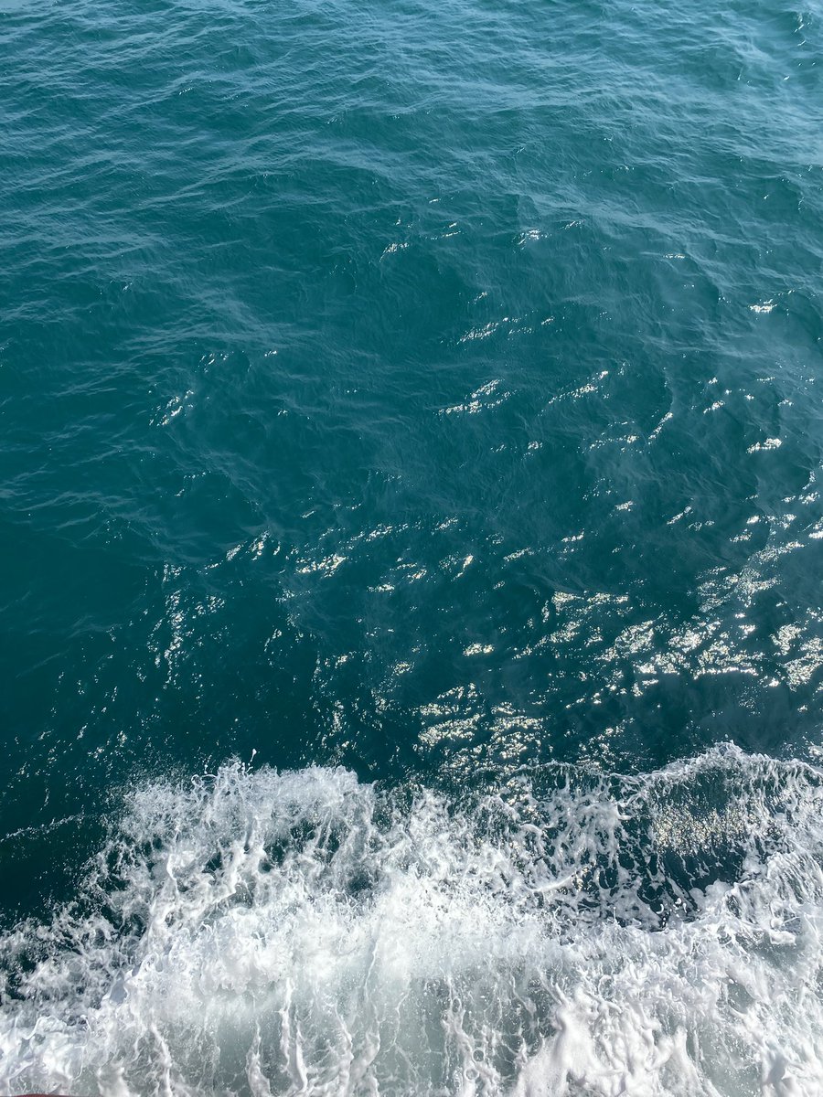 เติมทะเล 🌊