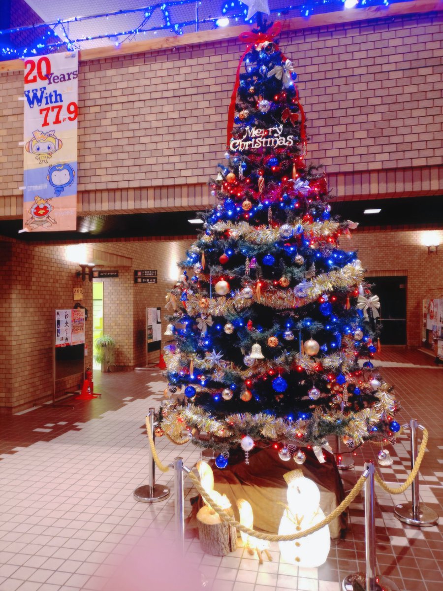 ayaringo6023's tweet photo. サンタになった浄法寺のねこちゃん🎅
可愛いかったにゃー🐱🩷

2日連続で
SaToMansionに会えて幸せでした🩷🩷🩷

#カシオペアFM
#カシオペアクリスマス
#SaToMansion https://t.co/eW9nMVaMjN