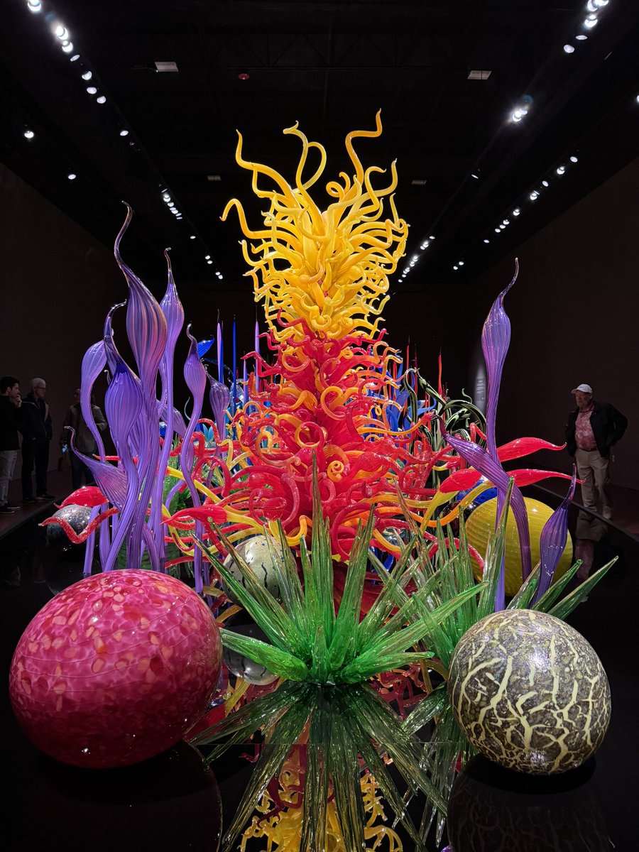 SDMatP24 tweet picture
