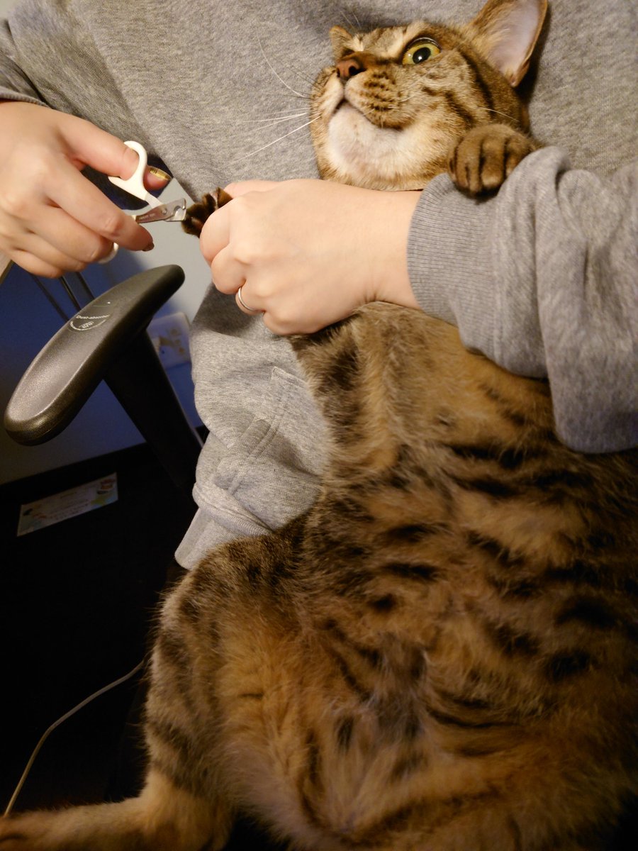 無言で去年の12月の写真を貼る