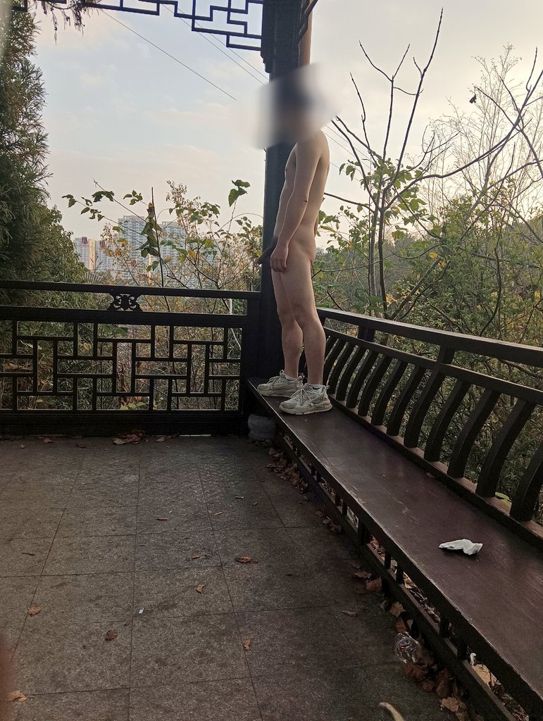 望星许愿 tweet media